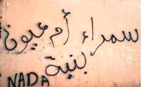 كتابات على الجدران في تونس