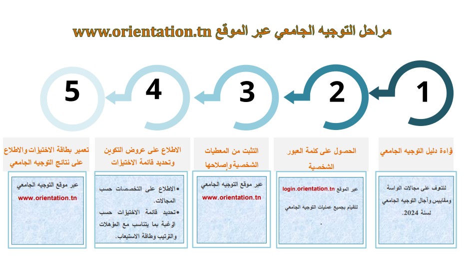 مراحل التوجيه الجامعي 2024