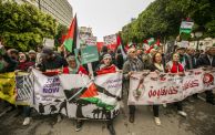 فلسطين احتجاجات تونس