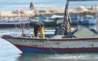 الصيادون التقليديون في تونس
