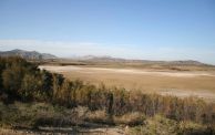 الجفاف يهدد المناطق الرطبة في تونس ويُبعد الطيور المهاجرة عنها