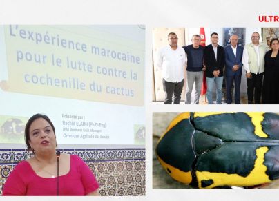 صاحبة مخبر لتربية الحشرات النافعة واجهتُ بيروقراطية في إدخال الدعسوقة المغربية