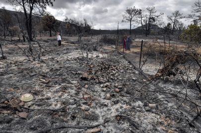 حريق ملولة حرائق تونس غابة 