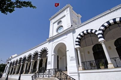 المؤسسات العمومية تونس وزارة المالية