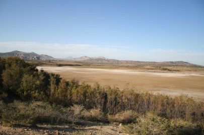 الجفاف يهدد المناطق الرطبة في تونس ويُبعد الطيور المهاجرة عنها