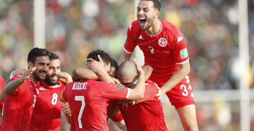 المنتخب التونسي هيكل هميمة الأناضول