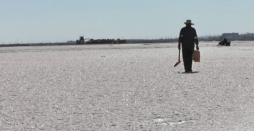 الملح في تونس