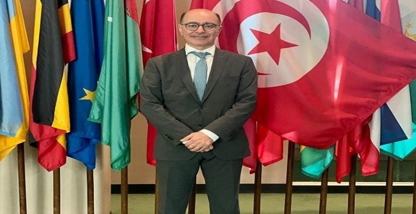 التونسي هيكل بن محفوظ