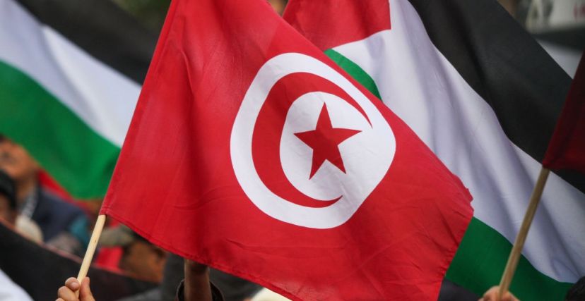 تونس فلسطين حقوق الإنسان